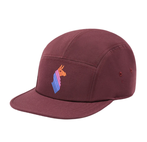cotopaxi Llama Stripes 5 Panel Hat | Hilton's Tent City