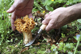 Opinel No. 8 Mushroom Knife