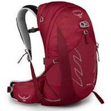 Osprey Talon 22 Backpack